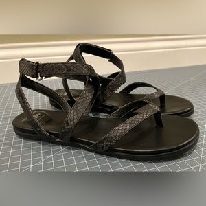 Rocket Dog Kesma black snake print gladiator sandals women’s size 9